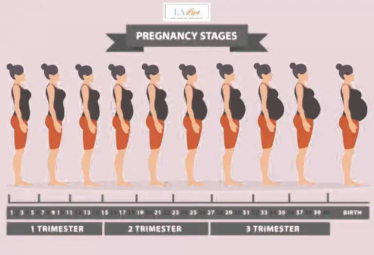 First Trimester (Weeks 1–12): Early Changes You Might Not Notice Reigate